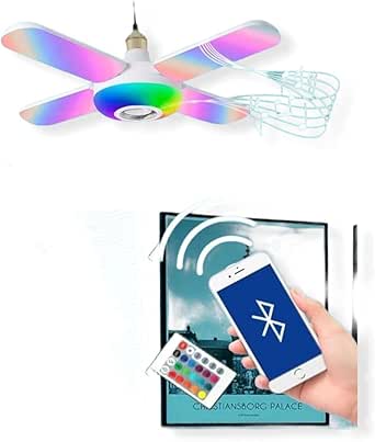 Fan Speaker