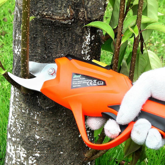 Branch Scissors