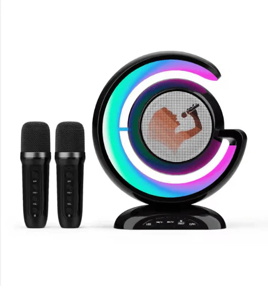 Portable Bluetooth Speaker (YS-110